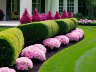 Автоматический полив газона: ключ к здоровому и красивому ландшафту