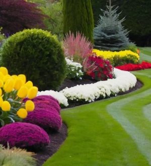 Декоративные листья: секреты создания уникальных клумб в вашем саду