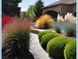 Декоративные злаки: секреты создания стильного и гармоничного ландшафта