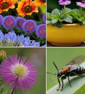 Эффективная защита клумбы: от вредителей до ухода после обработки