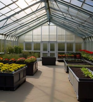 Эффективная защита тепличных культур: от вредителей до методов борьбы