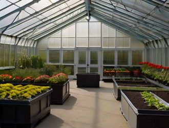 Эффективная защита тепличных культур: от вредителей до методов борьбы