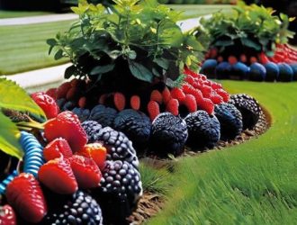 Эффективный полив и фертигация: ключ к здоровым ягодным кустам и богатому урожаю