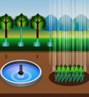Эффективный полив: Как датчики дождя могут изменить ваш сад