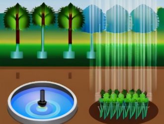 Эффективный полив: Как датчики дождя могут изменить ваш сад