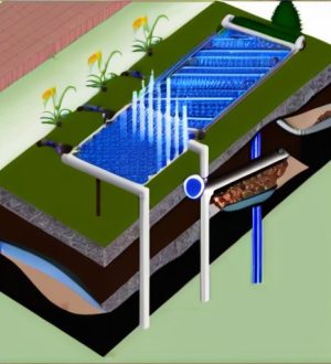 Эффективный полив: Как правильно выбрать и обслуживать фильтры для вашей системы