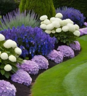 Элегантные клумбы: как создать сад с фиолетовыми и синими цветами