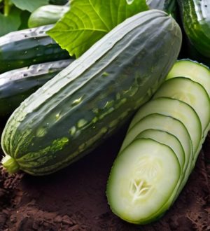 Гибридные огурцы: Как выбрать лучший сорт для вашей дачи и добиться высокого урожая