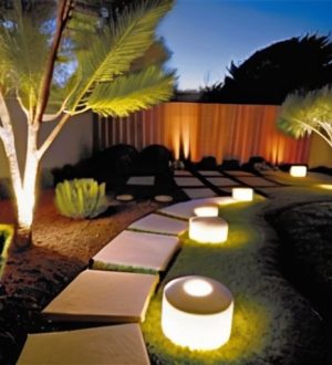 Искусство подсветки: как освещение камней и растений преображает ваш сад