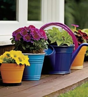 Искусство Полива: Как Правильный Полив Контейнерных Растений Способствует Их Здоровью и Росту