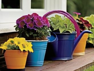 Искусство Полива: Как Правильный Полив Контейнерных Растений Способствует Их Здоровью и Росту