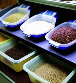 Качественные семена: Как правильно выбрать и проверить для успешного урожая