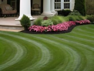 Как сохранить красивый газон при наличии домашних животных: полезные советы и рекомендации