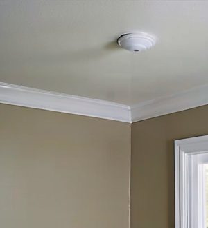 Как выбрать идеальную краску для потолка: советы и рекомендации для успешного ремонта