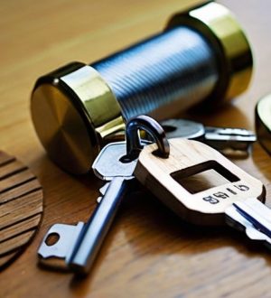 Как выбрать идеальный замок: от истории до современных технологий безопасности