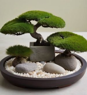 Карликовые и миниатюрные деревья: маленькие чудеса в ландшафтном дизайне и домашнем озеленении