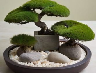 Карликовые и миниатюрные деревья: маленькие чудеса в ландшафтном дизайне и домашнем озеленении