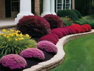 Кустарники в ландшафтном дизайне: секреты гармонии и красоты цветников