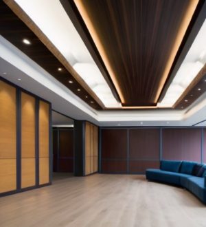 Потолочные конструкции: Эффективное зонирование пространства в интерьере