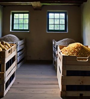 Правильное хранение картофеля: секреты, которые сохранят вкус и качество на долгое время