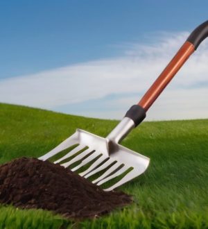 Правильное рыхление и выравнивание почвы: ключ к здоровому и красивому газону