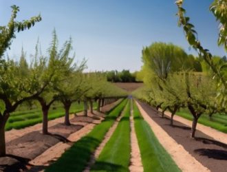 Правильный полив плодовых культур: секреты успешного роста и богатого урожая