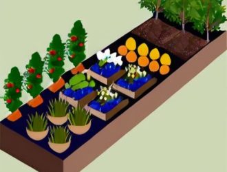 Правильный выбор сортов: ключ к успешному садоводству и избежанию проблем с несовместимостью