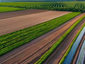 Равномерное распределение удобрений: ключ к успешному и устойчивому сельскому хозяйству