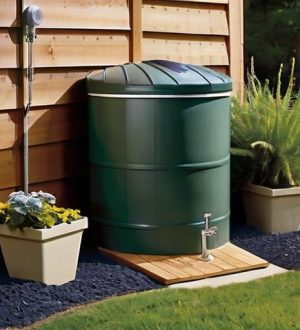 Сбор дождевой воды: Экологические и экономические преимущества для полива растений