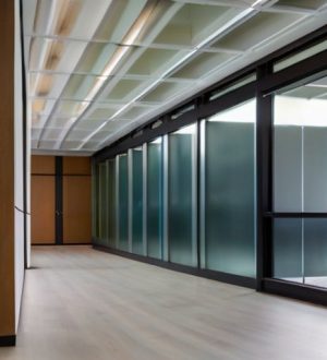 Светопроницаемые перегородки: Эстетика, Функциональность и Будущее Интерьера