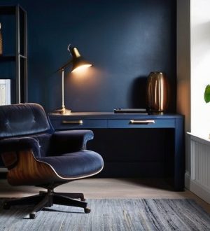 Темные кабинеты: уют и стиль в вашем пространстве