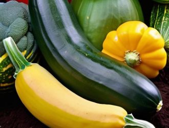Цуккини и Патиссоны: Полное Руководство по Выращиванию и Уходу за Этиими Вкусными Овощами