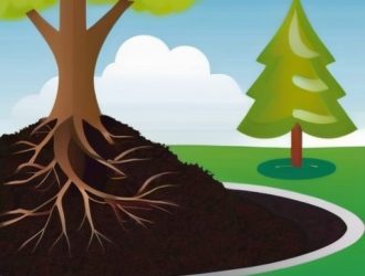 Удобрения для деревьев: Как обеспечить здоровье и продуктивность ваших зеленых друзей