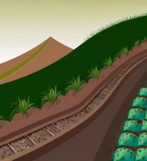 Укрепление почвы на склоне: эффективные методы и советы для устойчивого газона