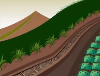 Укрепление почвы на склоне: эффективные методы и советы для устойчивого газона