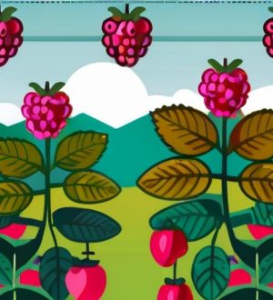 Забота о малине: как защитить ягоды от болезней и вредителей?