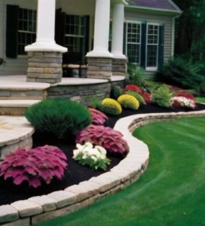 Зеленый рай: как выбрать и ухаживать за газоном для идеального ландшафта