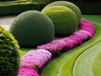 Живые изгороди и зеленые заборы: искусство природы в вашем ландшафтном дизайне