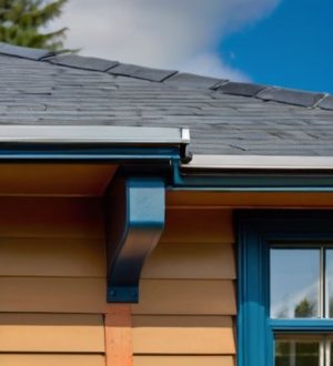 Эффективные методы борьбы с грибком на шифере: от химии до народных рецептов