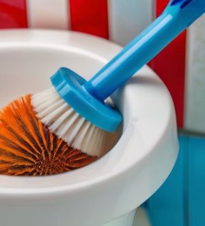 Эффективные способы очистки унитаза от известкового налета: секреты и советы