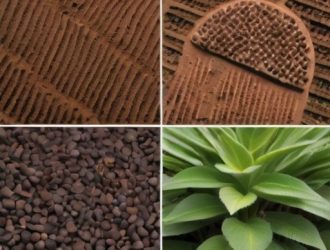 Керамзит в садоводстве: Как улучшить почву и повысить урожайность вашего сада