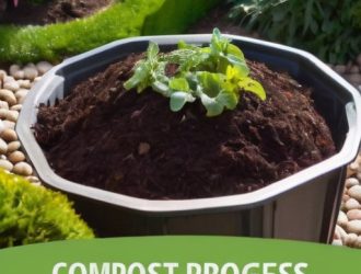 Компостирование для начинающих: Как создать идеальную компостную кучу на своем участке