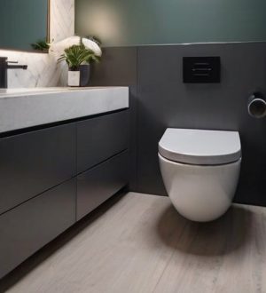 Правильное расстояние вокруг унитаза: ключ к комфорту и гигиене в ванной комнате